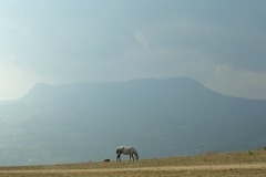 dscn0281