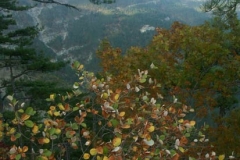 pict0161