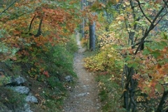 pict0166
