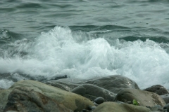 pict0292