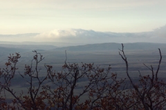 pict0055