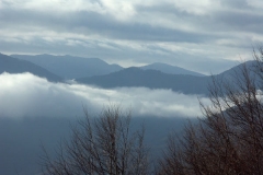 pict0049