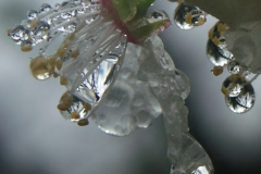 3ict0108