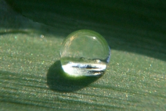 4ict0057