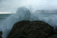 pict0131