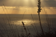 pict0324