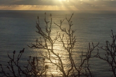 pict0330