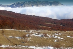dscn1388
