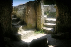 dscn2844
