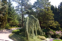 p1250194