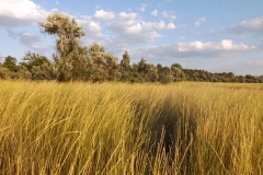 dscf5477