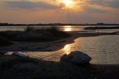 dsc01658