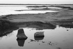 dsc02603_bw