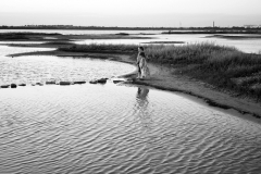 dsc02629_bw