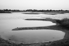 dsc02756_bw
