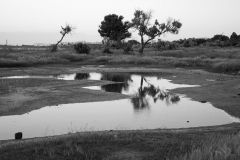 dsc02759_bw