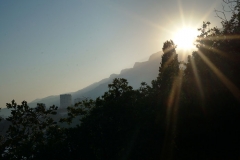 dsc02339