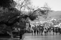 dsc09108