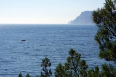 dsc08678
