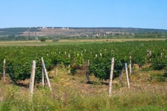 img_20190813_095605_1
