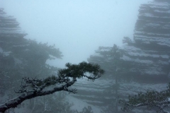 pict0211