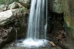 pict0027