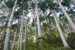 p9070020