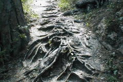 p9070029