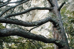 p9070043