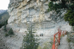 p9070048